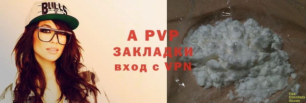 винт Няндома