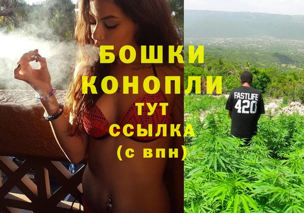 PSILOCYBIN Богородск