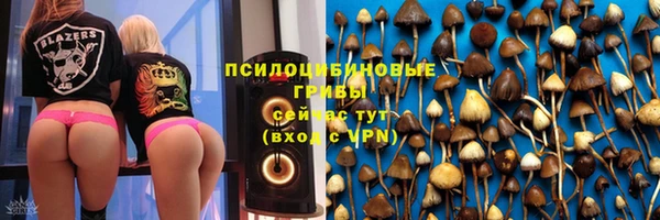 ALPHA PVP Остров