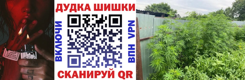 Бошки Шишки ГИДРОПОН  цены   Ряжск 